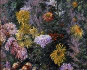 古斯塔夫 卡里伯特 : White and Yellow Chrysanthemums Garden at Petit Gennevilliers